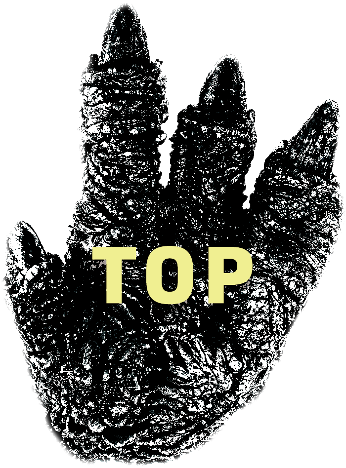 TOPへ戻るボタン