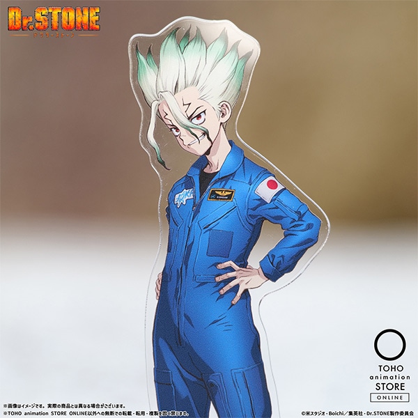 公式オンラインストアDr.STONE アクリルスタンド: 雑貨