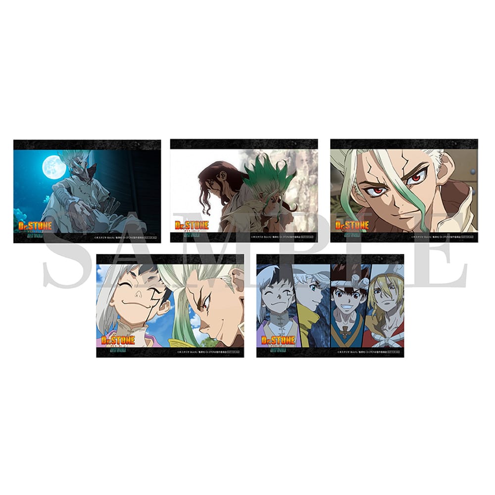 Dr.STONE 1～3期 DVDセット 全巻 Dr．STONE』3rd SEASON DVD BOX 1 初回生産限定版(DVD BOX 1