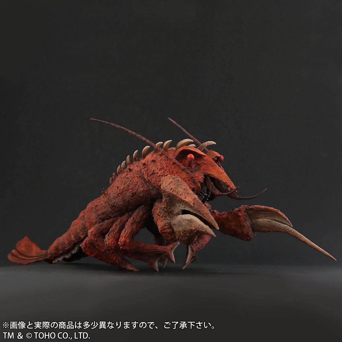 限定版