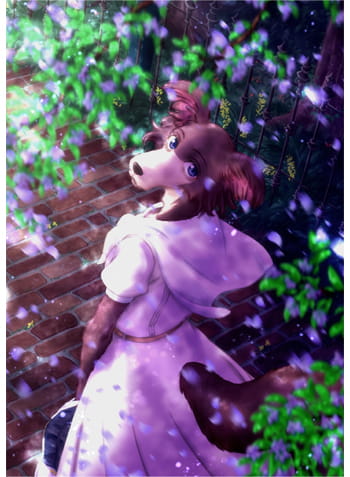 BD Vol.4