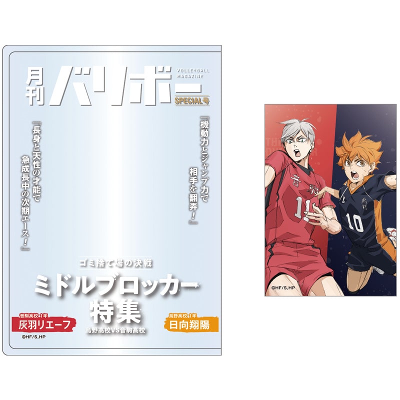 日向翔陽・灰羽リエーフ