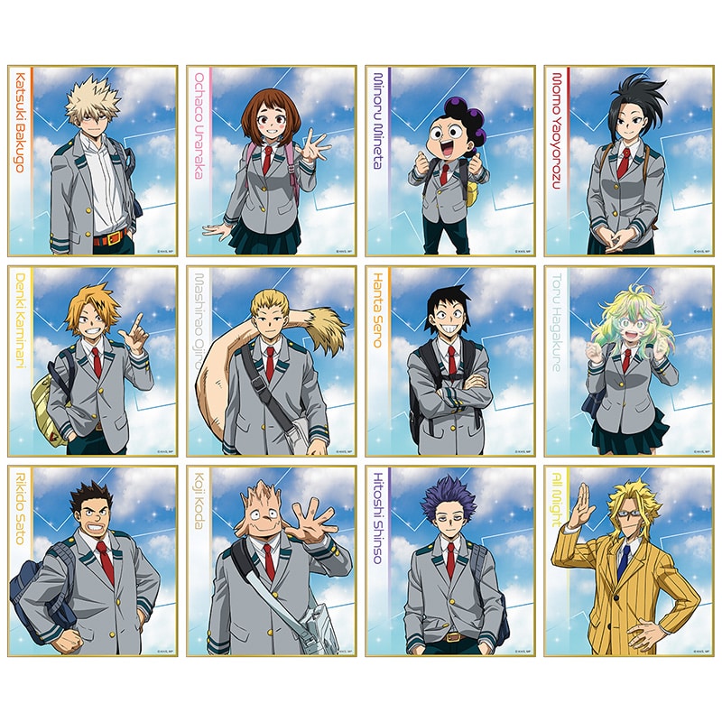 12個セット