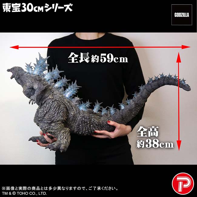 公式オンラインストア【引換券】東宝30cmシリーズ ゴジラ（ゴジラ・ザ