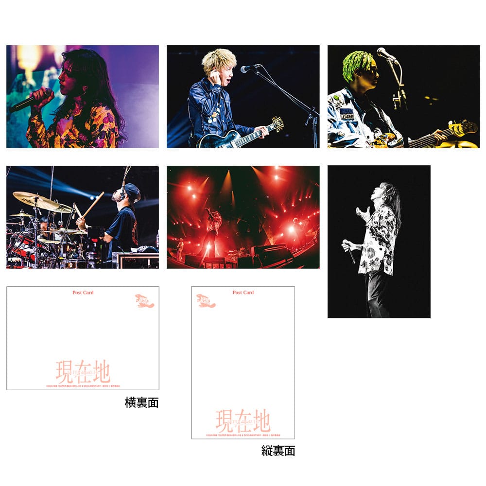 新品　未開封　SUPER BEAVER 『音楽 』　ポストカード付き 公式オンラインストアSUPER BEAVER LIVE & DOCUMENTARY -現在地