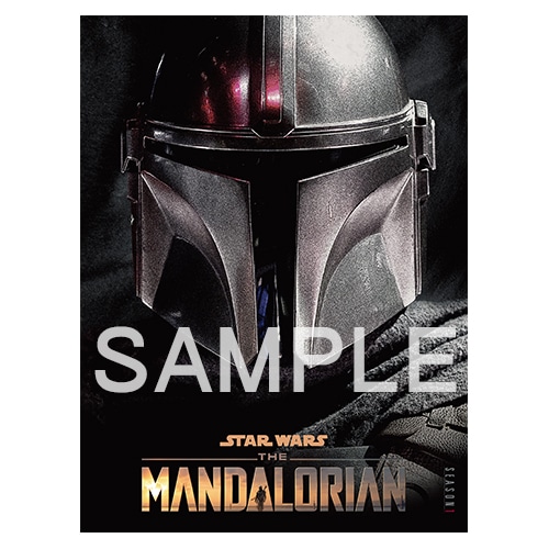 マンダロリアン　シーズン１　特別プログラム