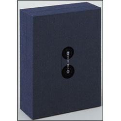 世界の中心で、愛をさけぶ　完全予約限定生産DVD-BOX