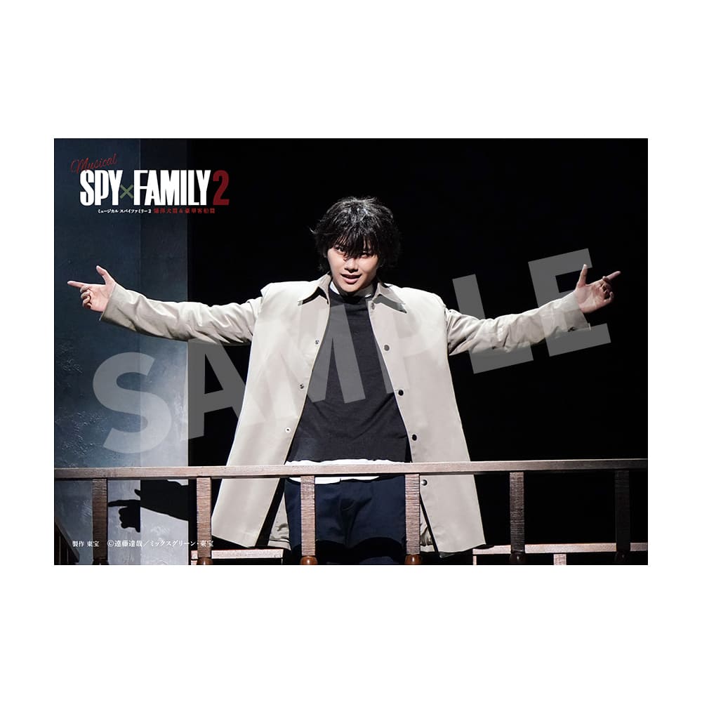 ミュージカル『SPY×FAMILY 2 爆弾犬篇＆豪華客船篇』２L判ステージフォト（磯野 亨）