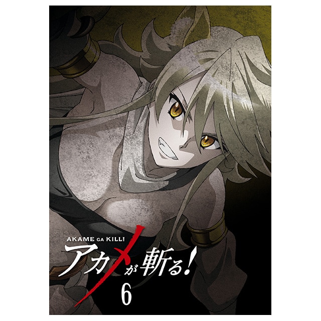アカメが斬る！ Vol.6 Blu-ray