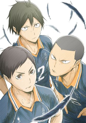 ハイキュー!! 烏野高校 VS 白鳥沢学園高校 Vol.4 DVD 初回限定版