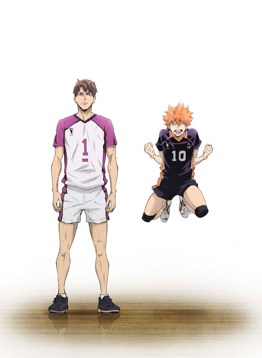 劇場版総集編 白鳥沢学園高校戦『ハイキュー!! コンセプトの戦い』 DVD 初回生産限定版