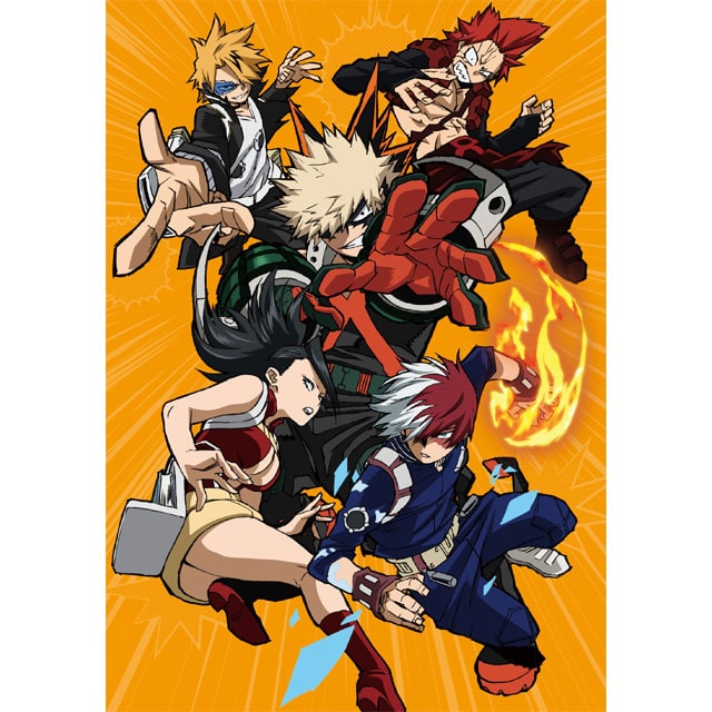 僕のヒーローアカデミア 3rd Vol.6 DVD 初回生産限定版