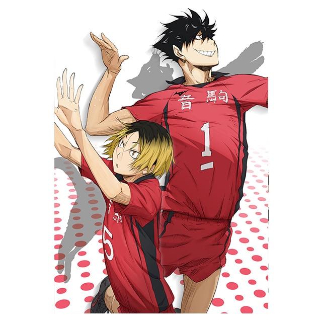 ハイキュー!! Vol.4 DVD