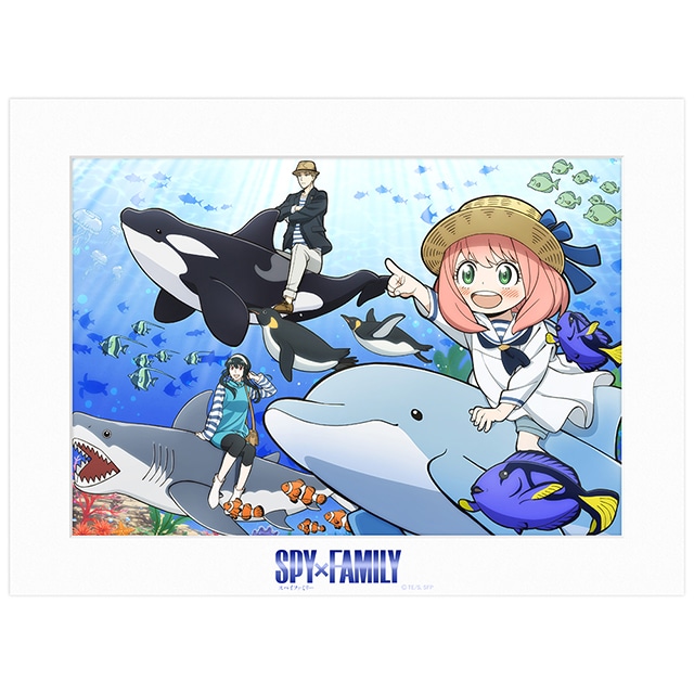 SPY×FAMILY メインビジュアルA4キャラファインマット B