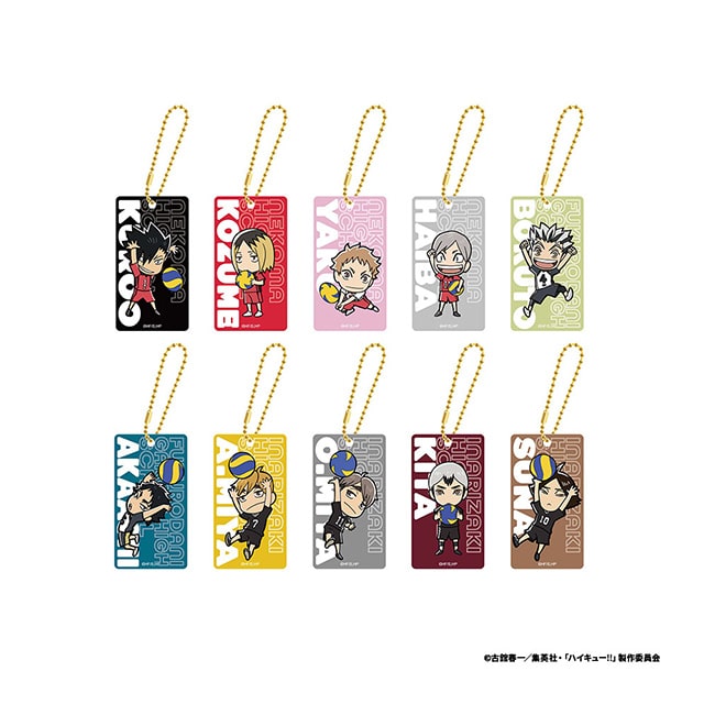 ハイキュー!! つながるアクリルキーホルダーコレクション＜B＞全10種 ランダム1個