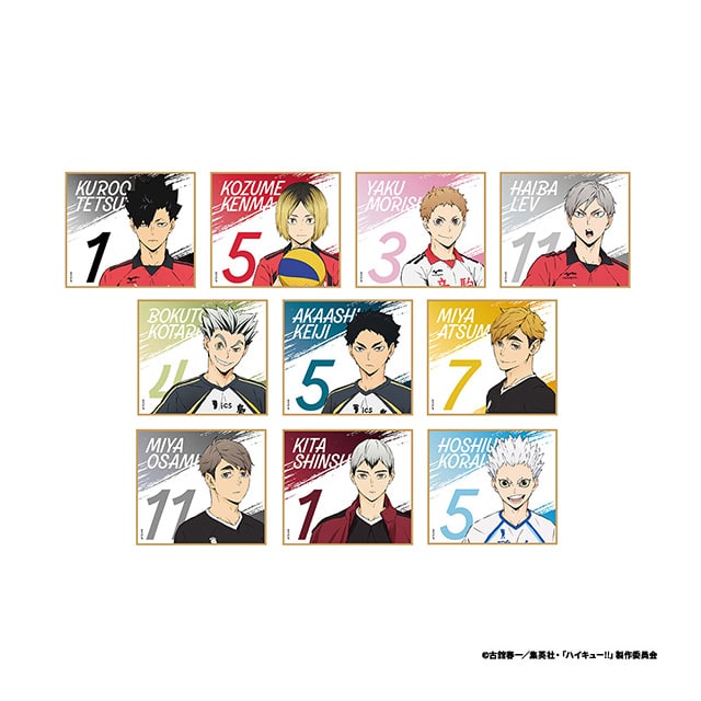ハイキュー!! ミニ色紙コレクション＜B＞全10種 コンプリートセット