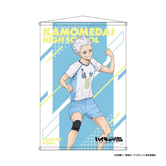 ハイキュー!! タペストリー＜10周年記念展描き下ろし 星海光来＞