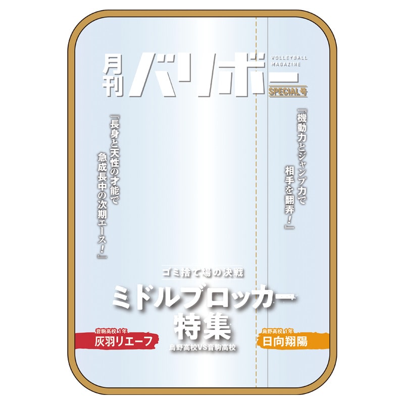 ハイキュー!! ポーチ 月刊バリボー第2弾(日向翔陽・灰羽リエーフ)