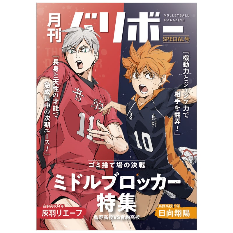 ハイキュー!! ノート 月刊バリボー第2弾(日向翔陽・灰羽リエーフ)