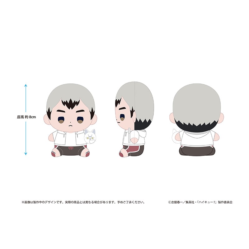 ハイキュー!! もっちび ぬいぐるみ 北 信介 ビーチボールver.