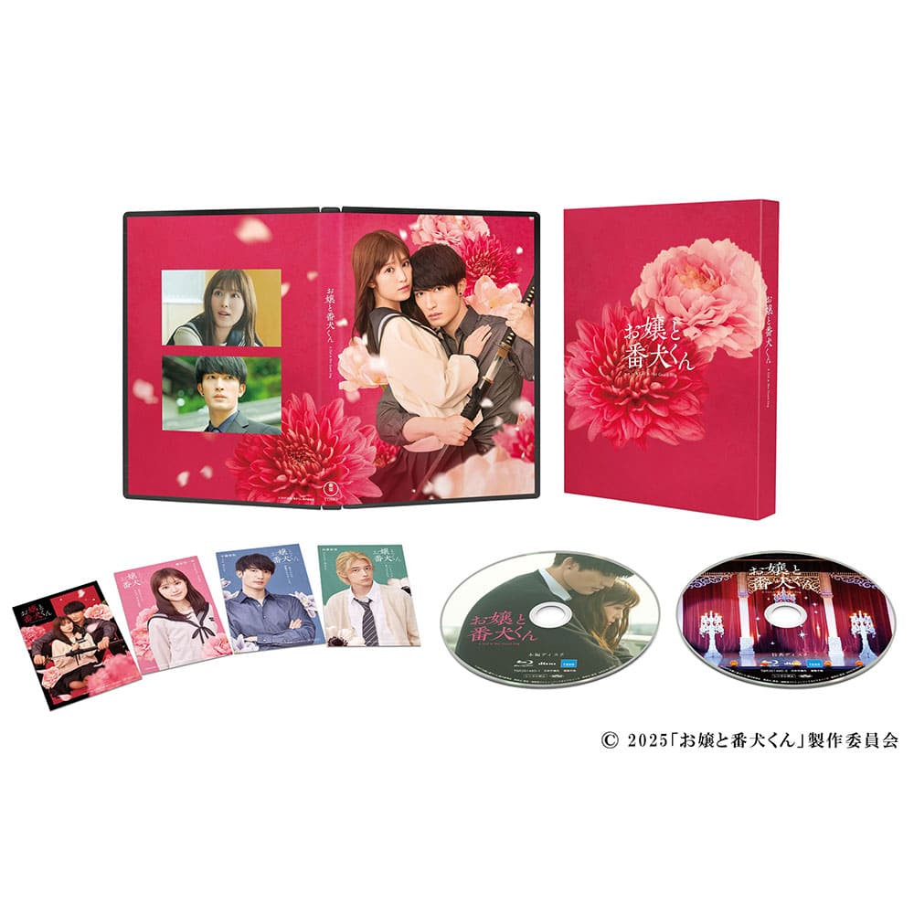 映画『お嬢と番犬くん』Blu-ray 豪華版