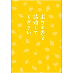 ボクの妻と結婚してください。（2枚組）〈DVD〉