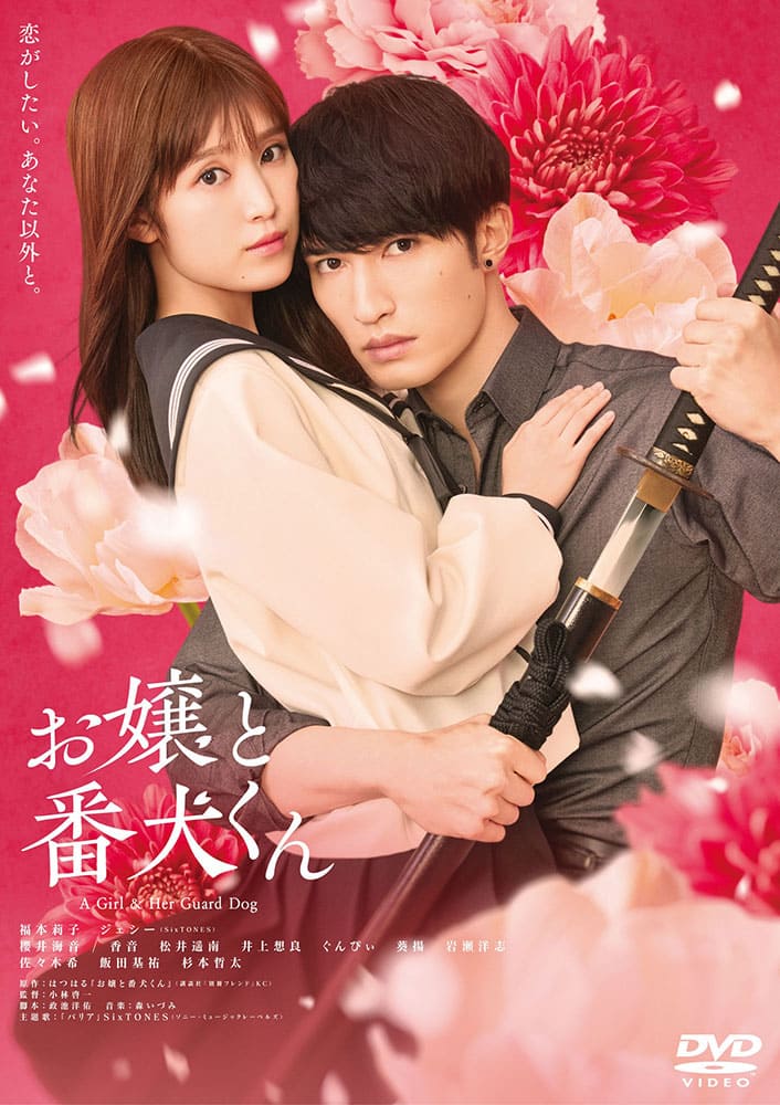 映画『お嬢と番犬くん』DVD 通常版