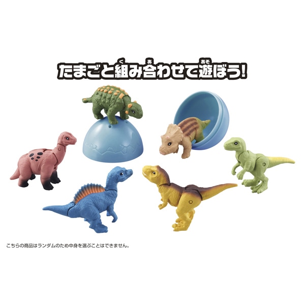 アニアのたまご　恐竜コレクション（全6種）